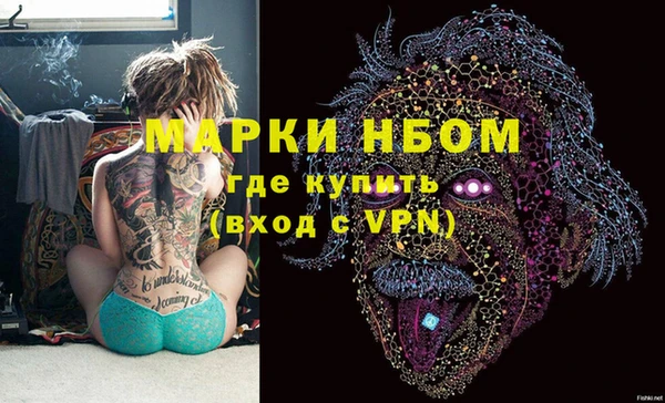 винт Ельня